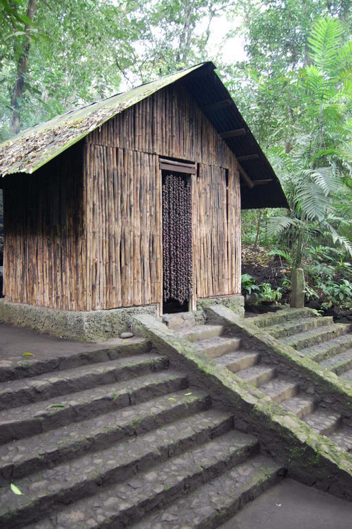 Reserva Ecologica Nanciyaga Catemaco Exterior foto